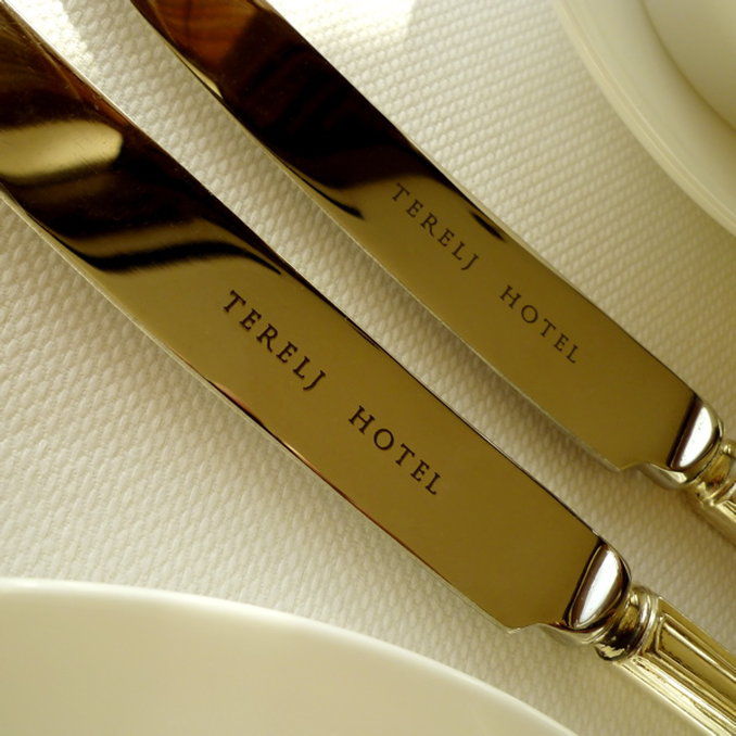 Terelj Hotel & Spa Ulaanbaatar Bekvemmeligheder billede